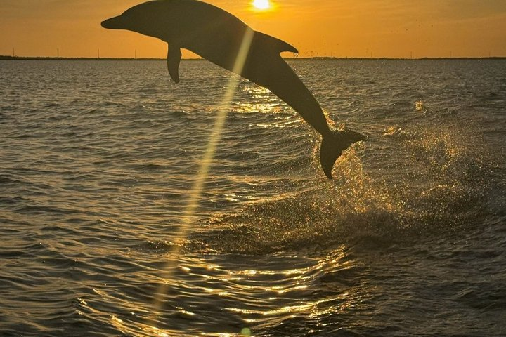 Key Largo Sunset Cruise - Photo 1 of 15
